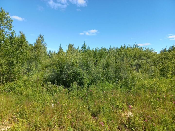 Участок 12 сот. (ИЖС)