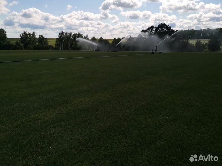 Рулонный газон