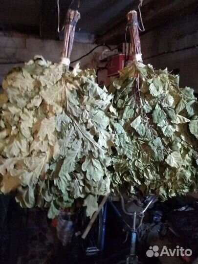 Банные веники