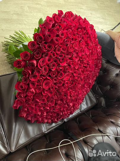 Розы 1 метр, 100 см 150 см, 170 см, 2 метра