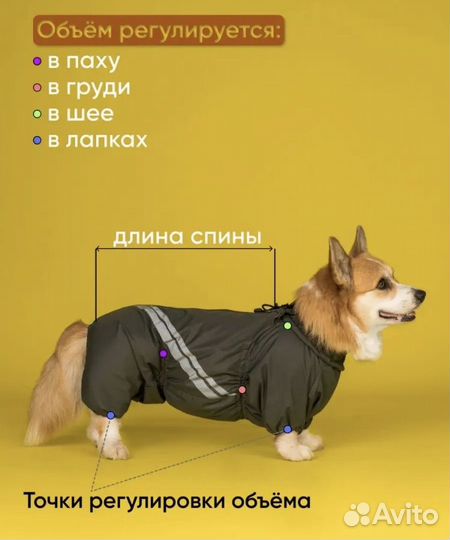 Комбинезон для корги