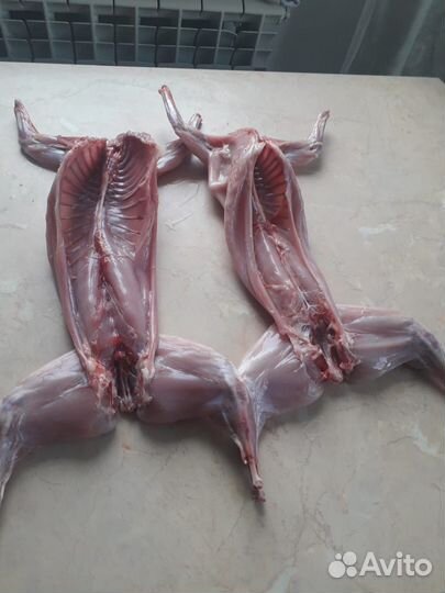 Мясо кролика