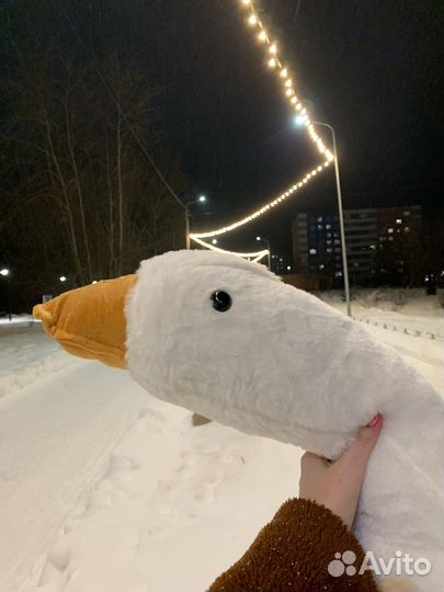 Гусь обнимусь