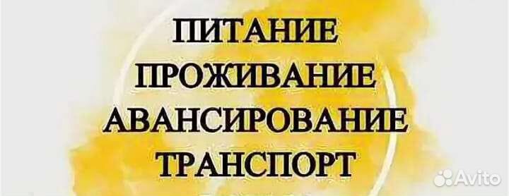 Разнорабочие на вахту. Выезд на вахту