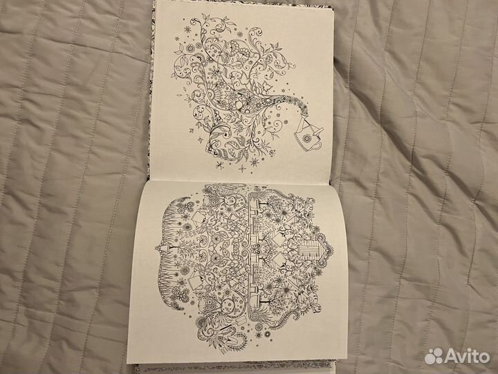 Книга раскраска антистресс Таинственный сад