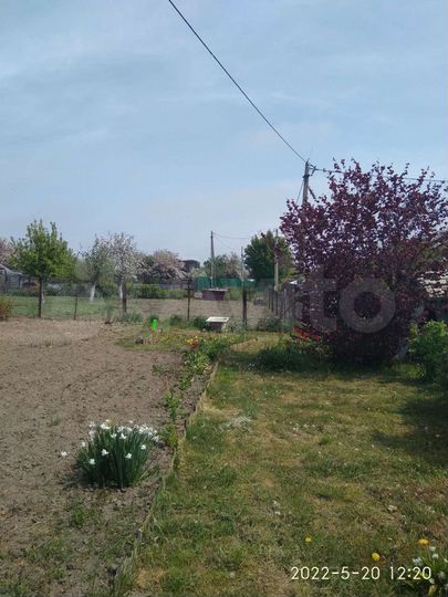 Участок 12,6 сот. (СНТ, ДНП)