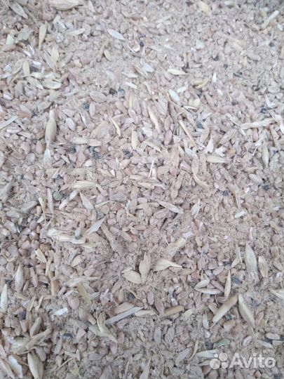 Зерноотходы пшеничные