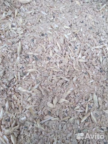 Зерноотходы пшеничные