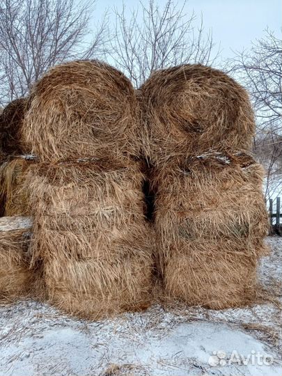 Продам сено в рулонах, 3 центнера