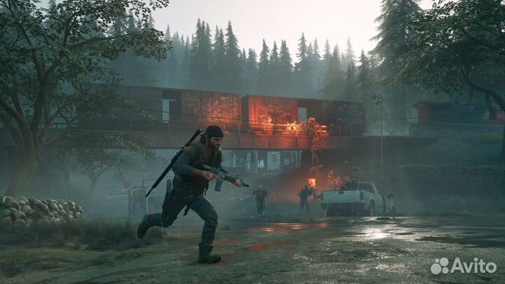 Days gone пк (Steam) Жизнь после