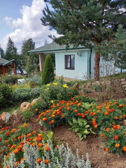 Дом 115 м² на участке 20 сот.