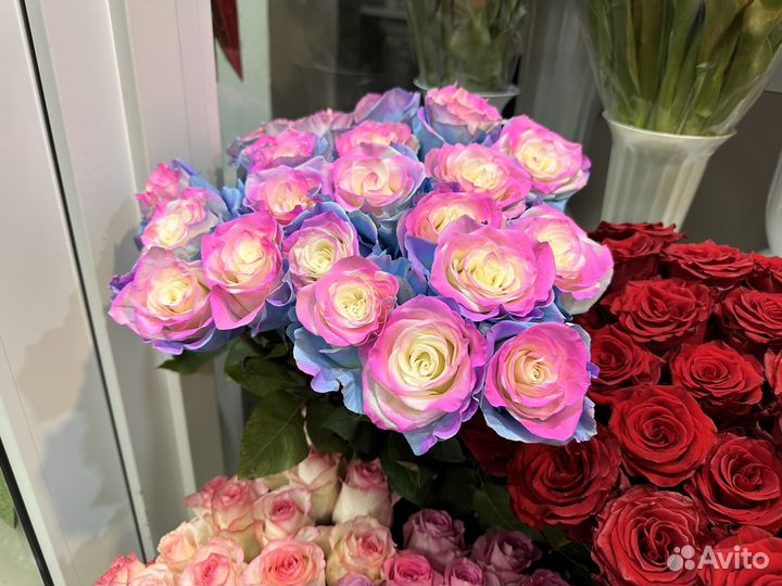 Синяя Роза крашеная Роза