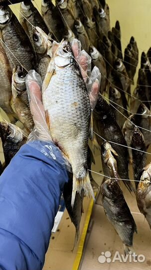 Тарань азовская