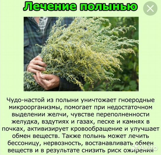 Масло для волос с еловыми побегали