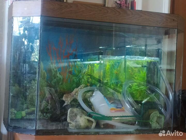 Аквариум