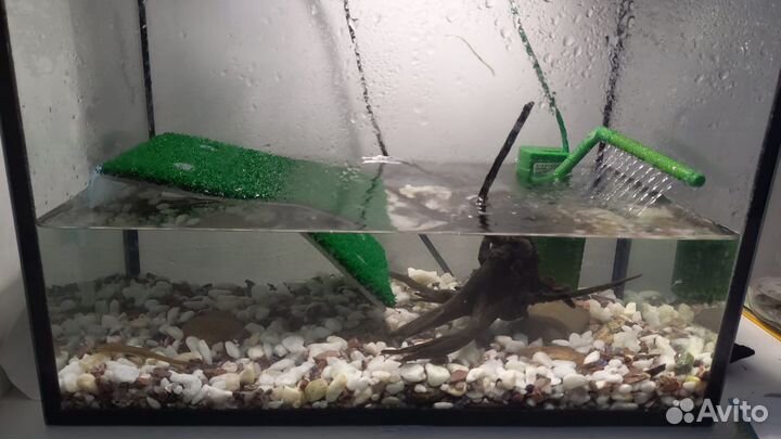 Аквариум
