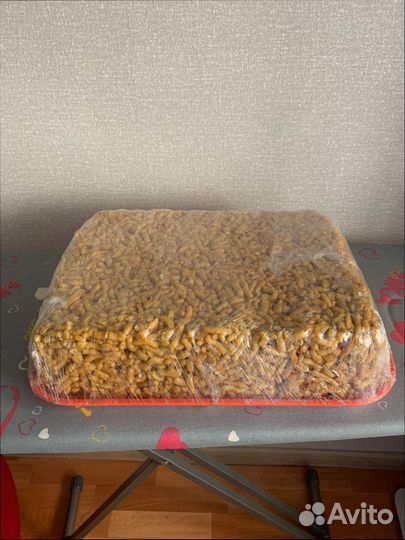 Гусь вяленый Гусь копченый Утки Казылык