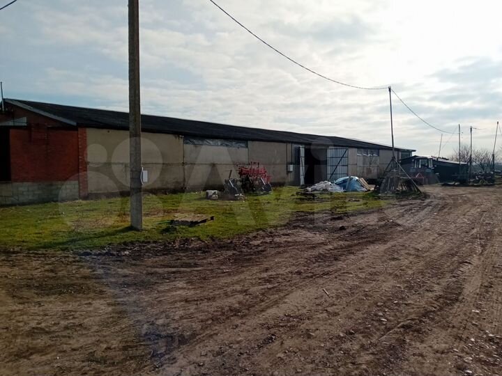 Участок 55 га (СНТ, ДНП)