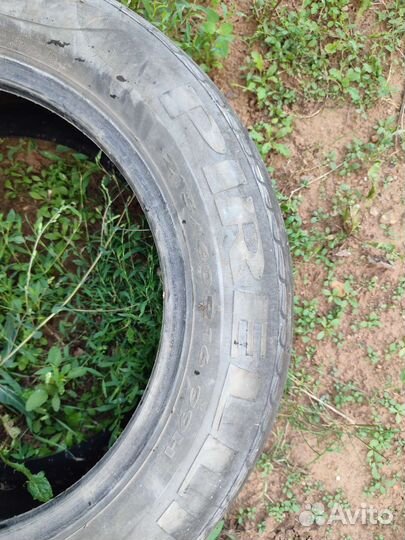 Pirelli P6 215/60 R16 99H
