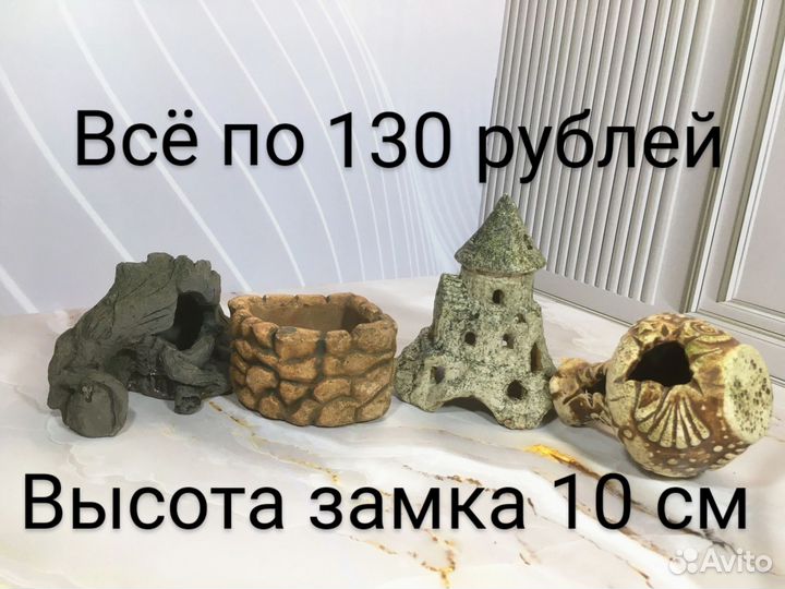 Сомы вуалевые,звёздчатый,гроты, растения