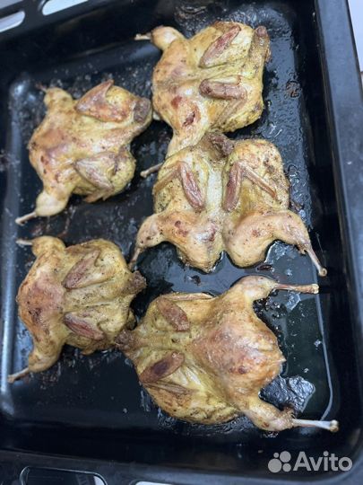 Мясо перепелов, перепелка, перепел копченный