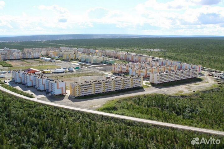 Хотите уединиться Добро пожаловать в тайгу