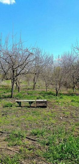 Дом 55 м² на участке 25 сот.