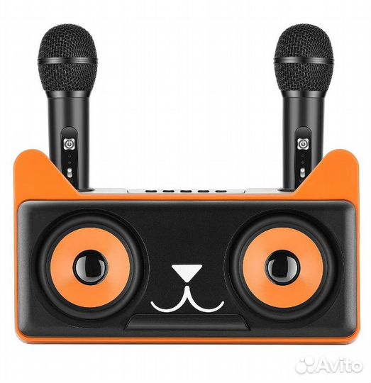 Беспроводная караоке система SD305 с 2 микрофонами
