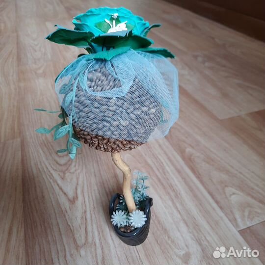 Топиарий из кофейных зерен денежное дерево