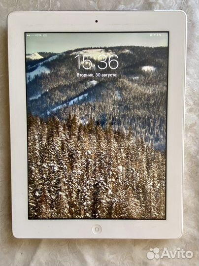 iPad