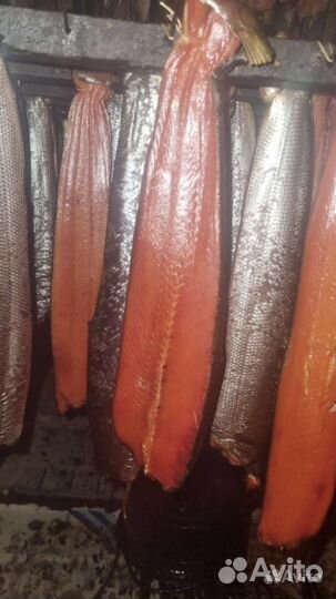 Красная рыба/производство