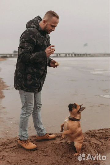 Услуги кинолога с выездом / Зоопсихолог