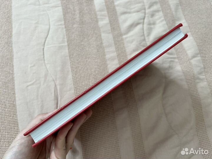 Книга Не тупи Синсеро