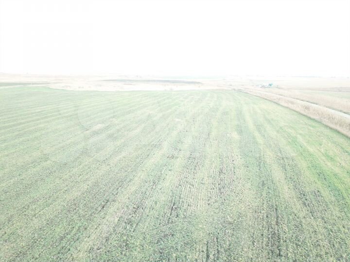 Участок 45,29 га (СНТ, ДНП)