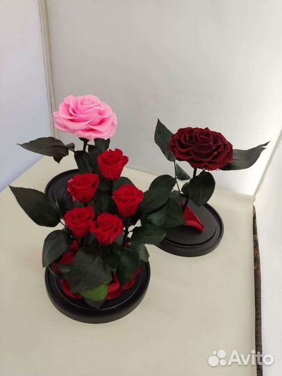 Роза в колбе оптом и в розницу