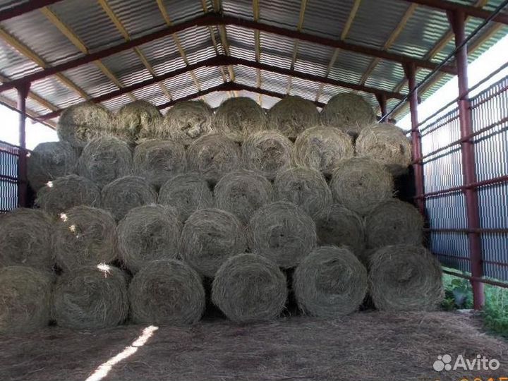 Сено в тюках 2023