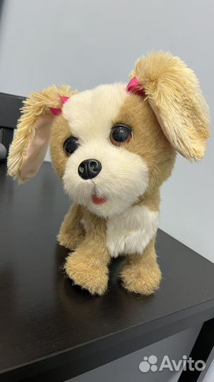 Furreal friends Интерактивная собачка Bouncy