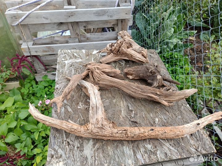 Коряги с реки Очëр не обработанные