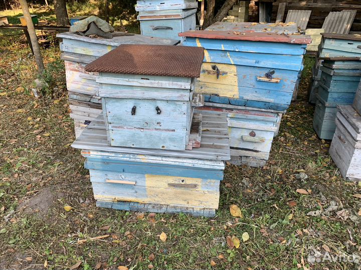 Ульи для пчел