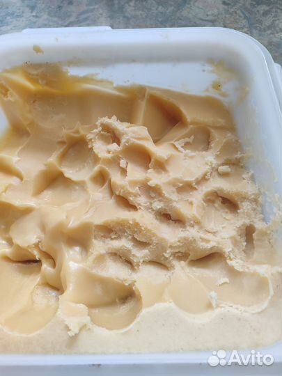 Мед донниковый