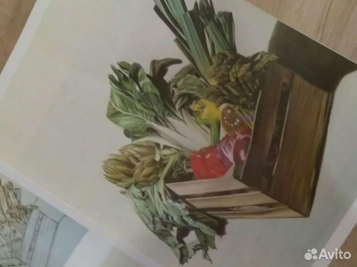 Leonardo Collection: Still Life