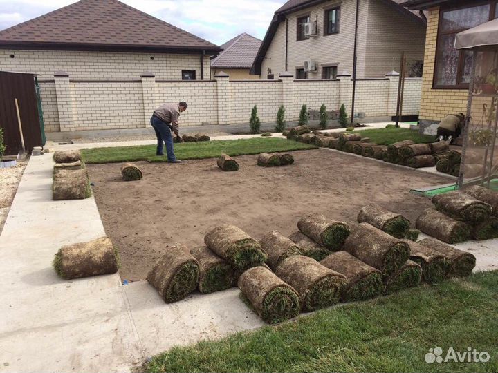 Устройство рулонного газона