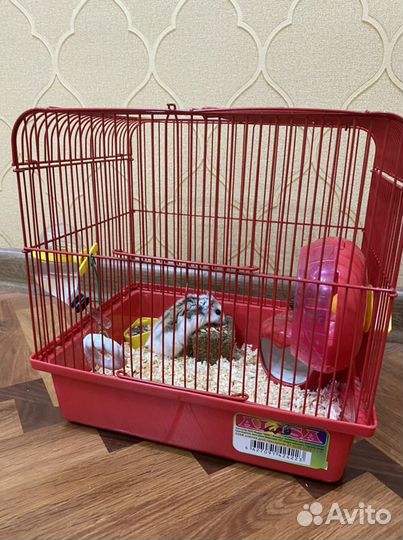 Клетка ддя хомяка