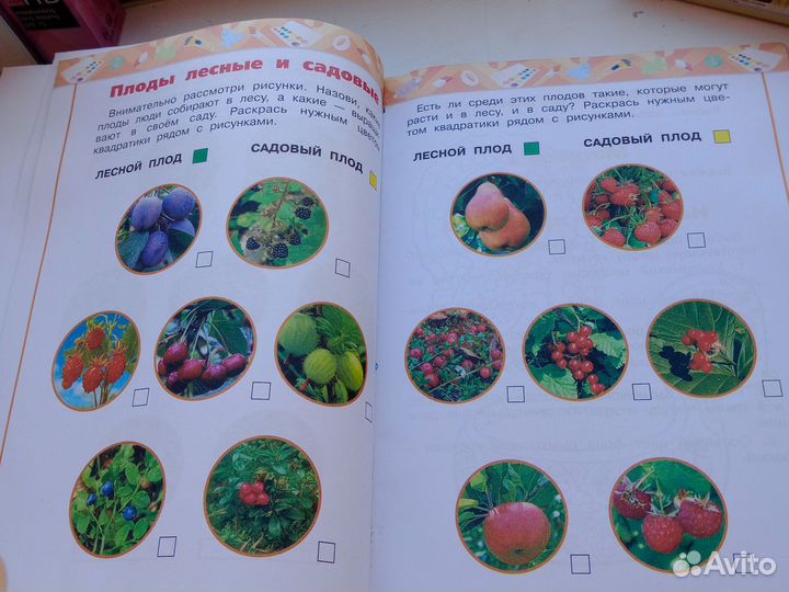 Рабочая тетрадь, перспектива, 2 класс,окружающий