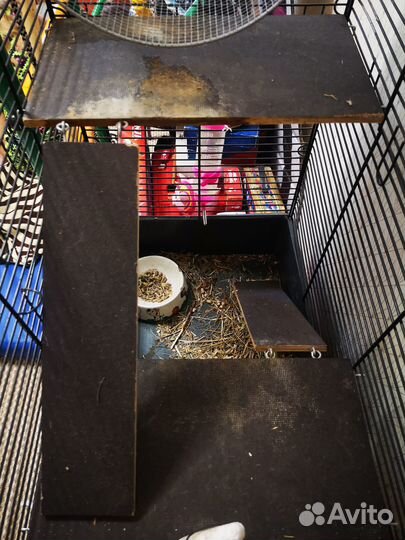 Продам клетку для шиншилл