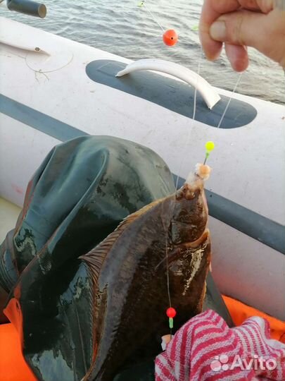 Снасть на камбалу с 6 утра