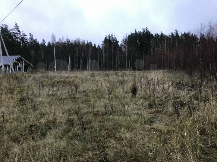 Участок 35 сот. (СНТ, ДНП)