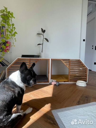 Вольер для собак Домашний