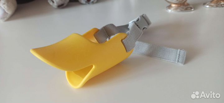 Когтерез, вещи для собачки