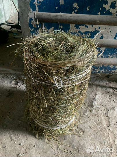 Продам сено и солома в рулонах 2023 года